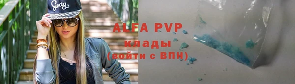 PSILOCYBIN Михайлов