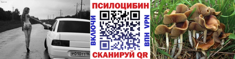 Псилоцибиновые грибы GOLDEN TEACHER Устюжна
